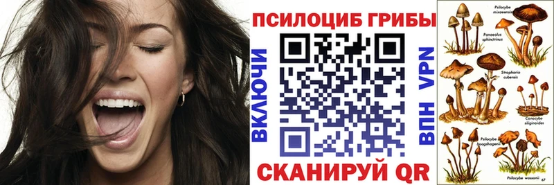 Галлюциногенные грибы мухоморы купить Терек