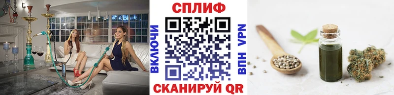 площадка как зайти  Терек  МАРИХУАНА OG Kush 